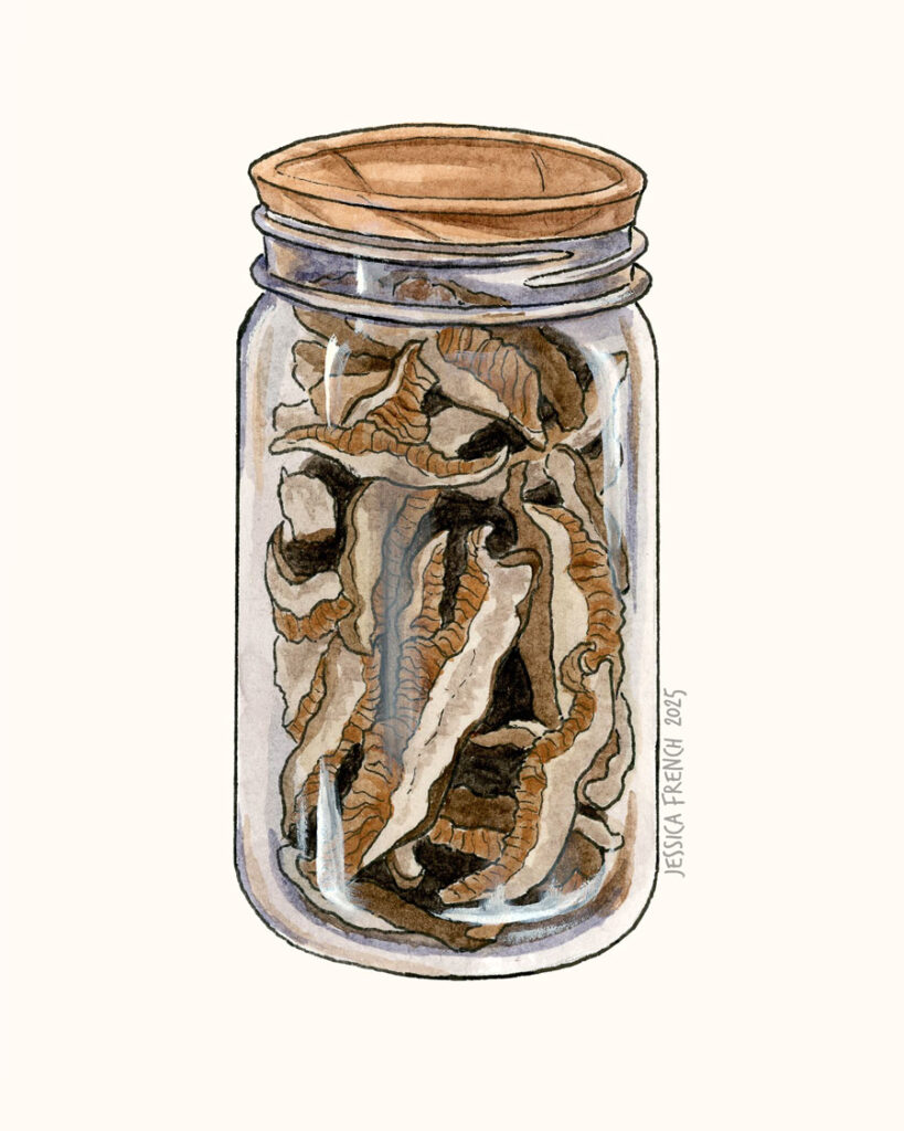 Dried shiitake mushroom slices inside of a mason jar, capped with a wooden lid.