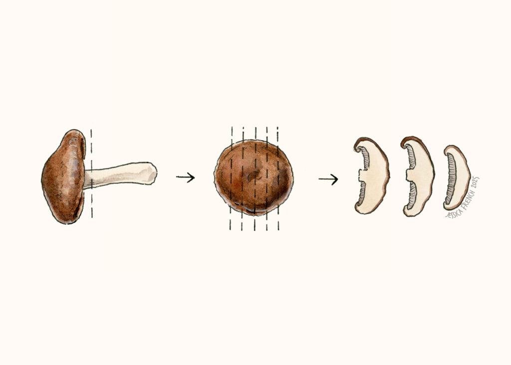 Instructional image showing where to cut the stem off of a shiitake mushroom, then how to cut the caps into 1/4 inch slices.