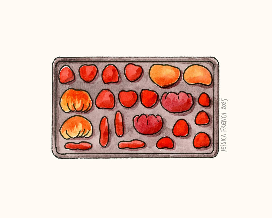Sheet pan with cut tomatoes placed on it.