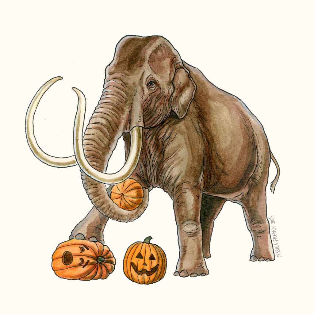 A columbian mammoth with three pumpkins, one held by its trunk, one a smiling Jack-o-lantern, and one a Jack-o-lantern with a surprised face as it's being stepped on by the mammoth.